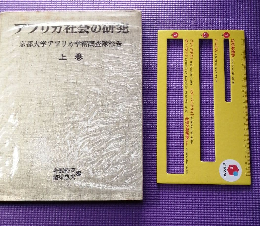 アフリカ社会の研究　上下巻　京都大学アフリカ学術調査隊報告　今西錦司　梅棹忠夫