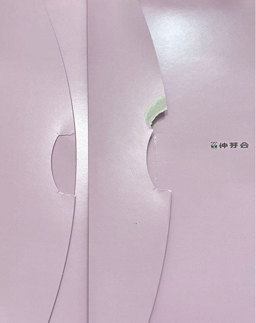 伸芽会　家庭学習プログラム（年中）