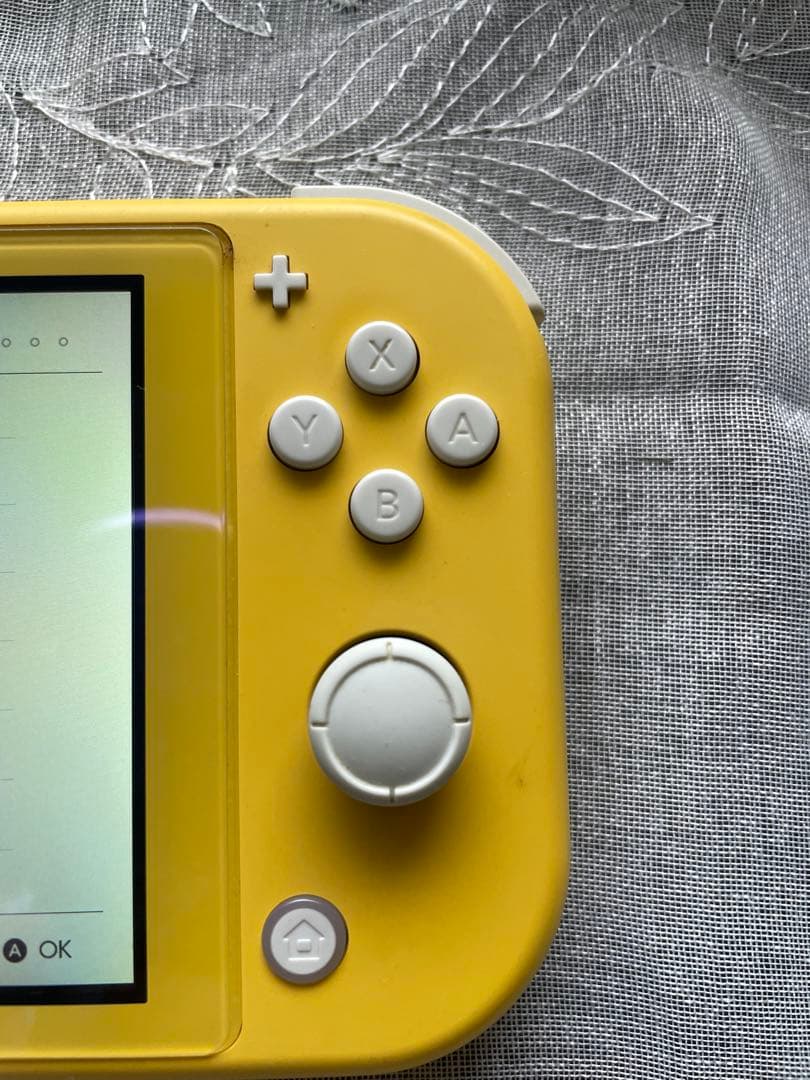 Nintendo Switch Lite 本体(画面ヒビ有り)