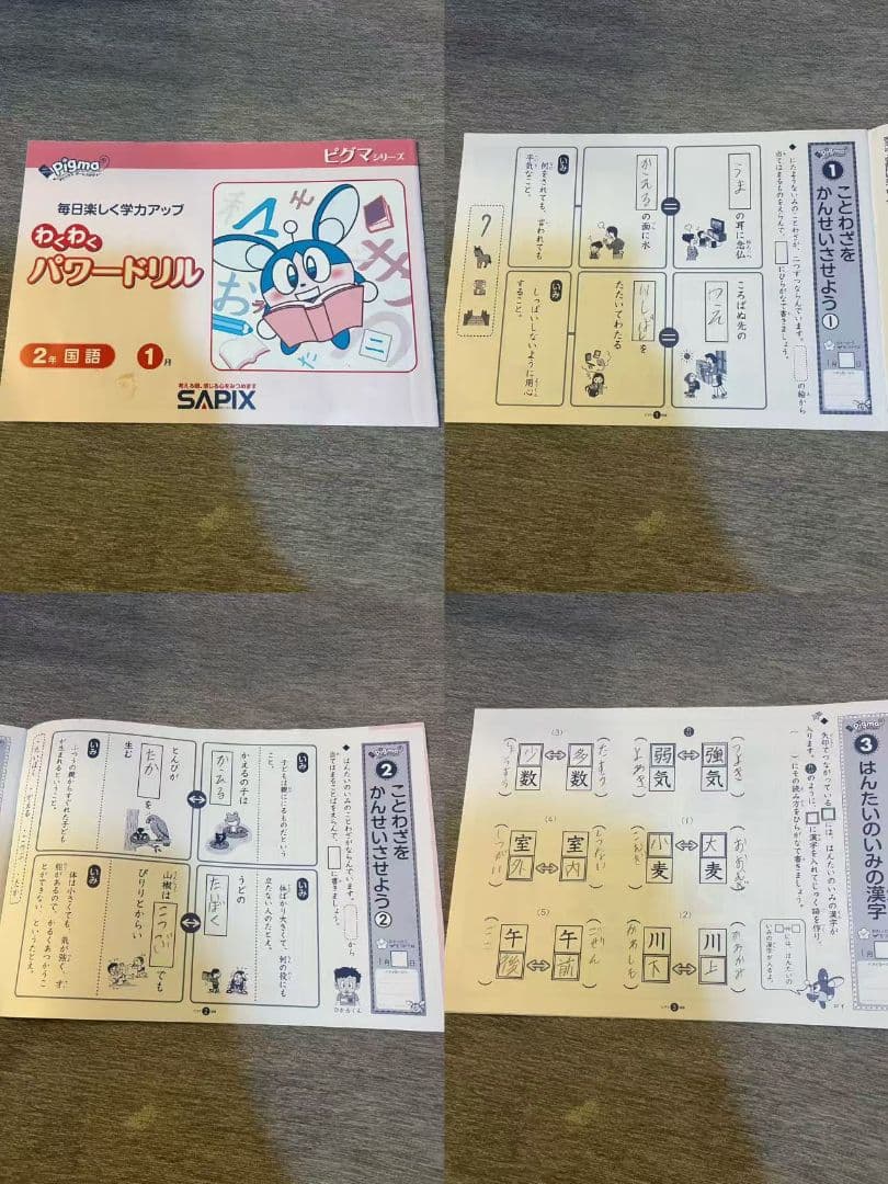 SAPIX 2年生 パワードリル ピグマ セット2023年版