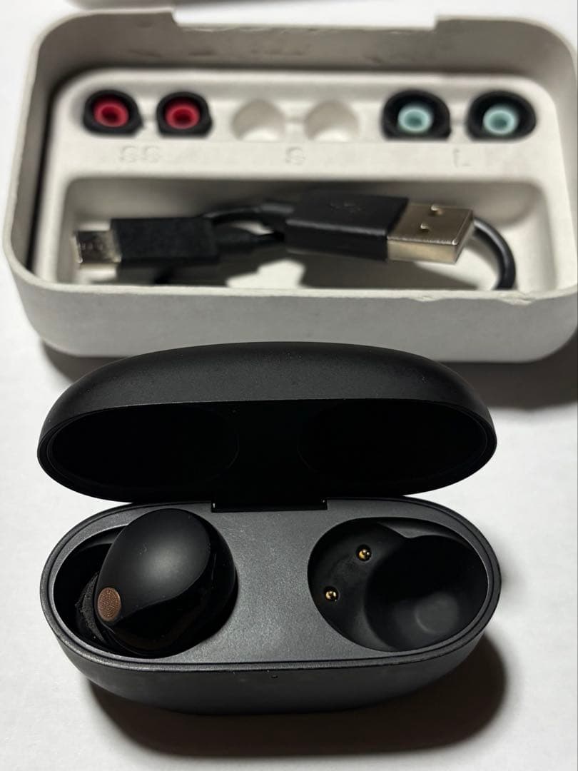 kei  WF-1000XM5 充電ケースと左耳