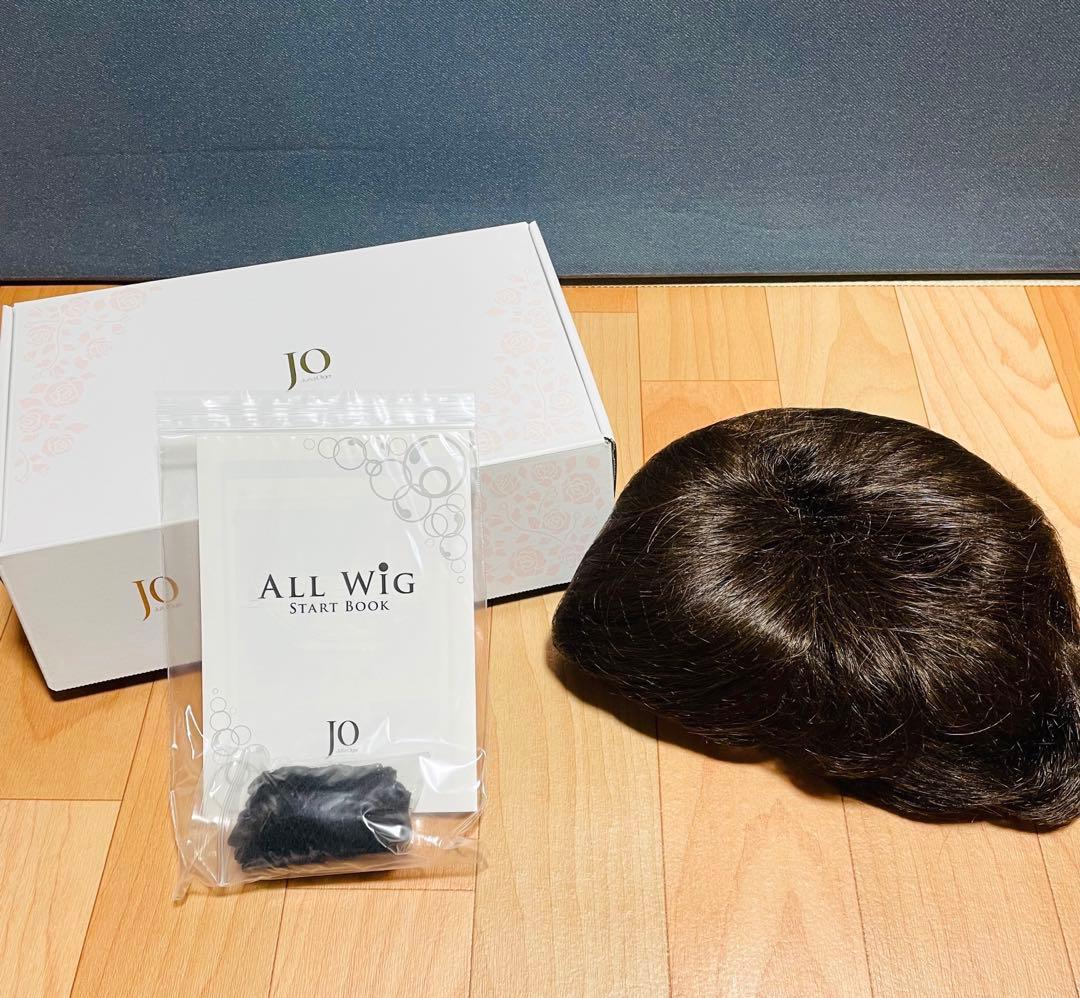 【未使用】アートネイチャー　ジュリアオージェ　ウィッグ　エイミーショート(チャ)