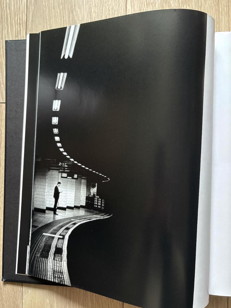 Alan Schaller Metropolis 写真集