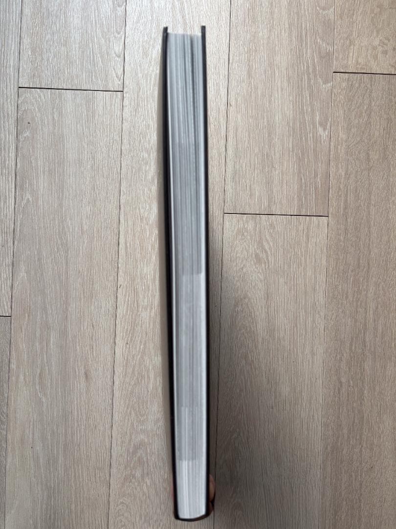 Alan Schaller Metropolis 写真集