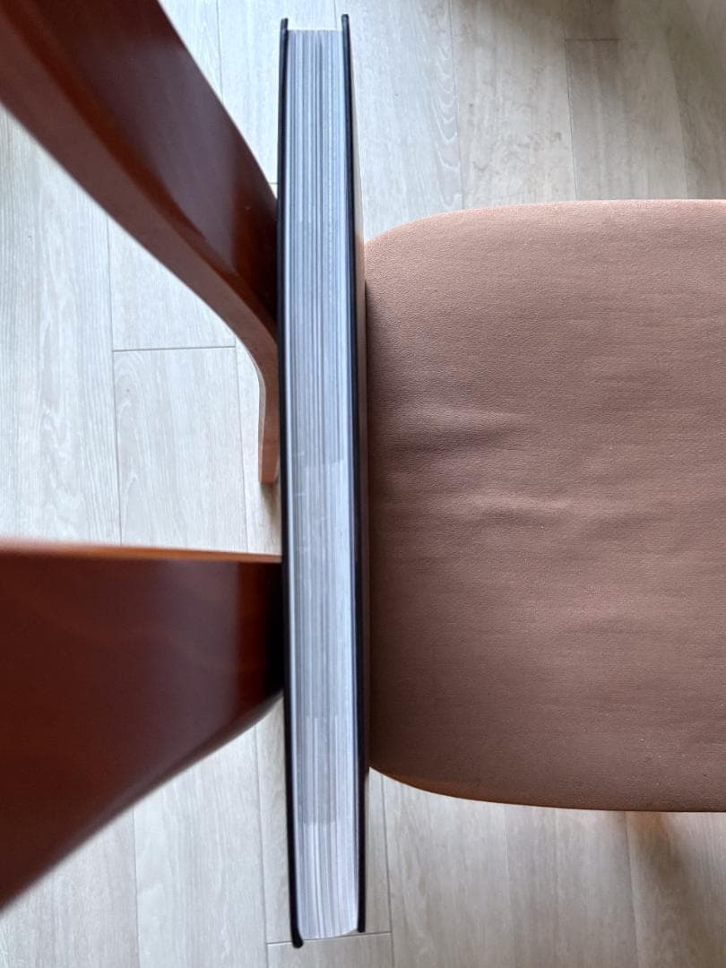 Alan Schaller Metropolis 写真集