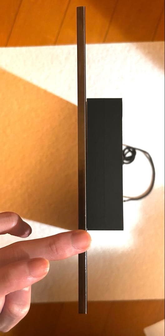 モーガン マッセン／wtw Morgan／ACRYL ART BIRD／A4