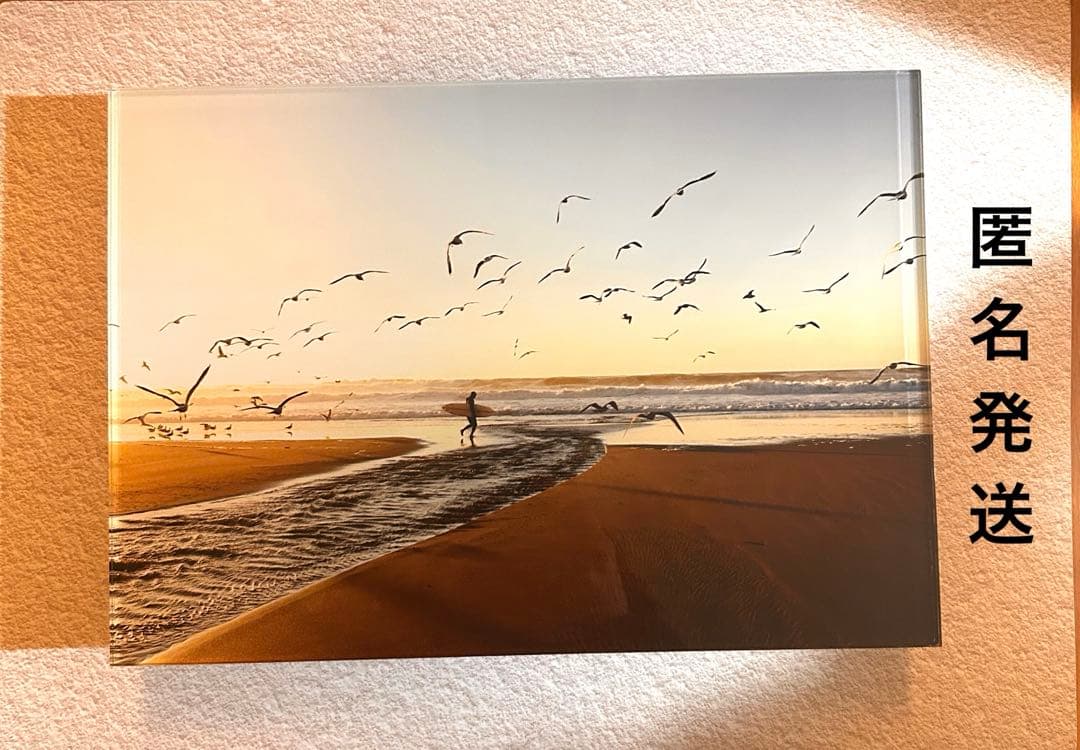 モーガン マッセン／wtw Morgan／ACRYL ART BIRD／A4