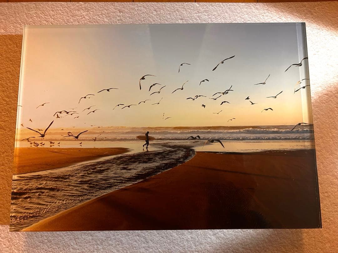 モーガン マッセン／wtw Morgan／ACRYL ART BIRD／A4