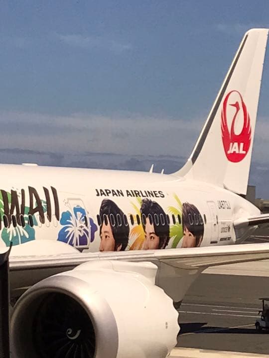 嵐5×20 BEST アルバム JALハワイ線限定商品