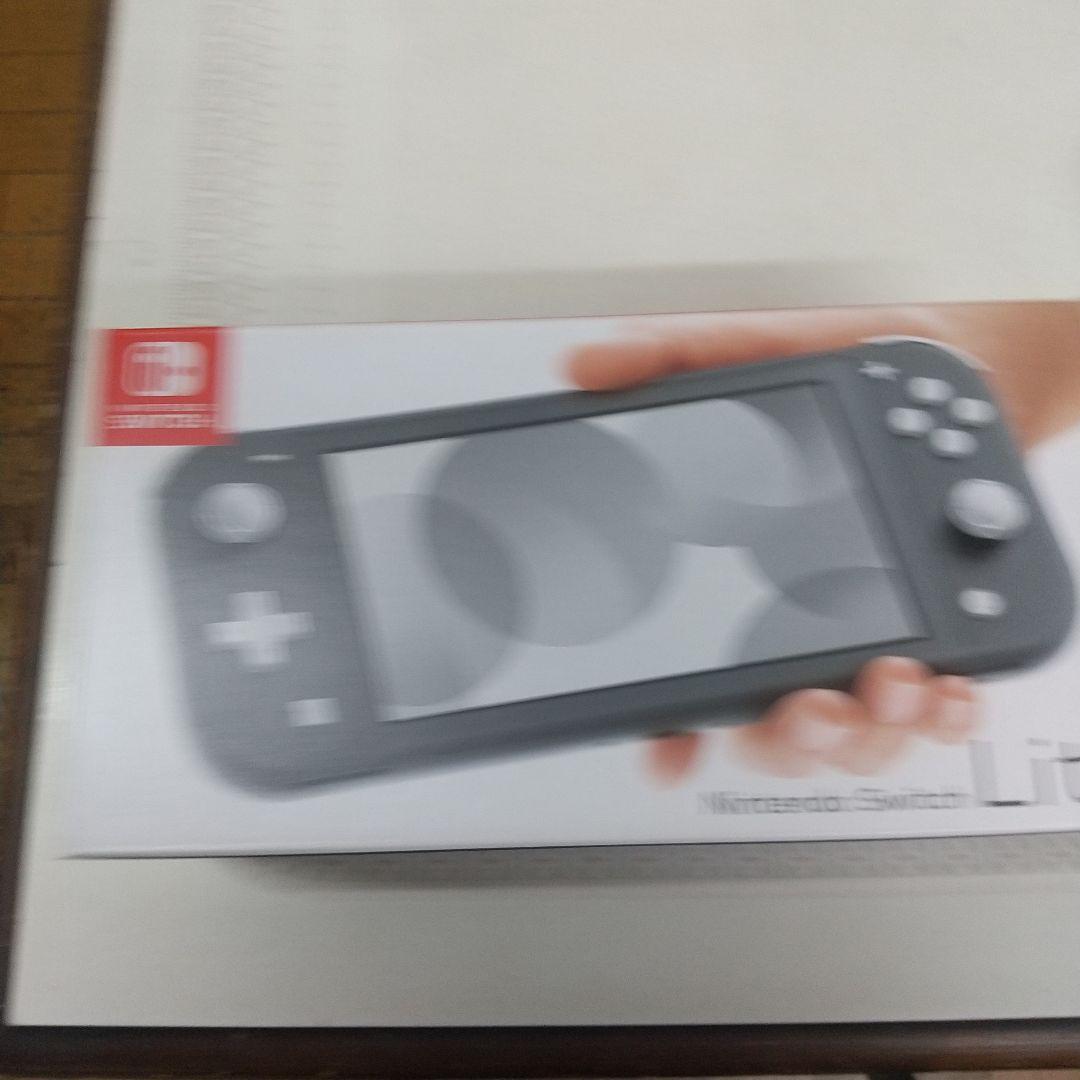 Nintendo Switch Lite グレー箱、説明書付きです。