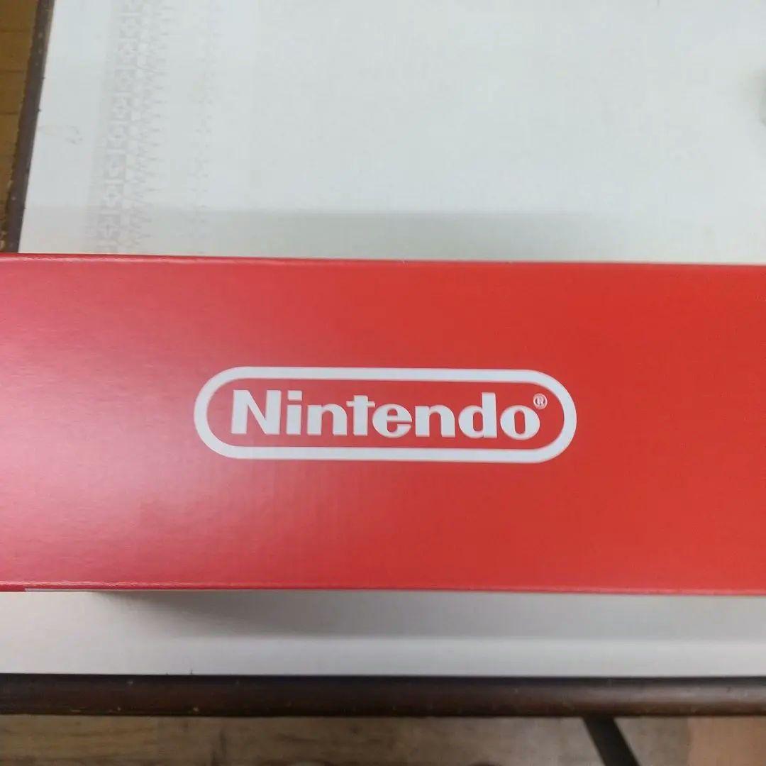 Nintendo Switch Lite グレー箱、説明書付きです。