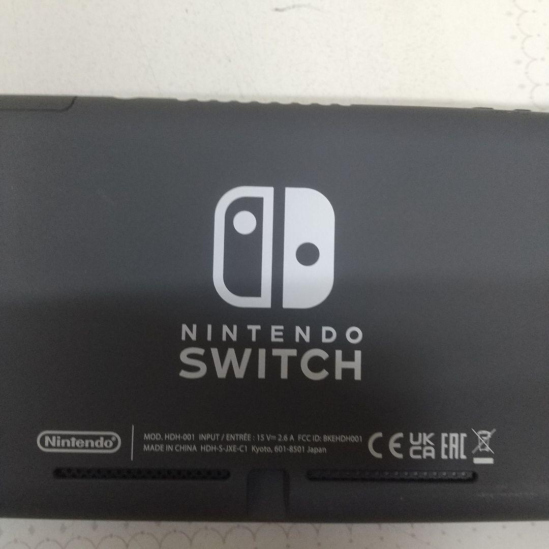 Nintendo Switch Lite グレー箱、説明書付きです。