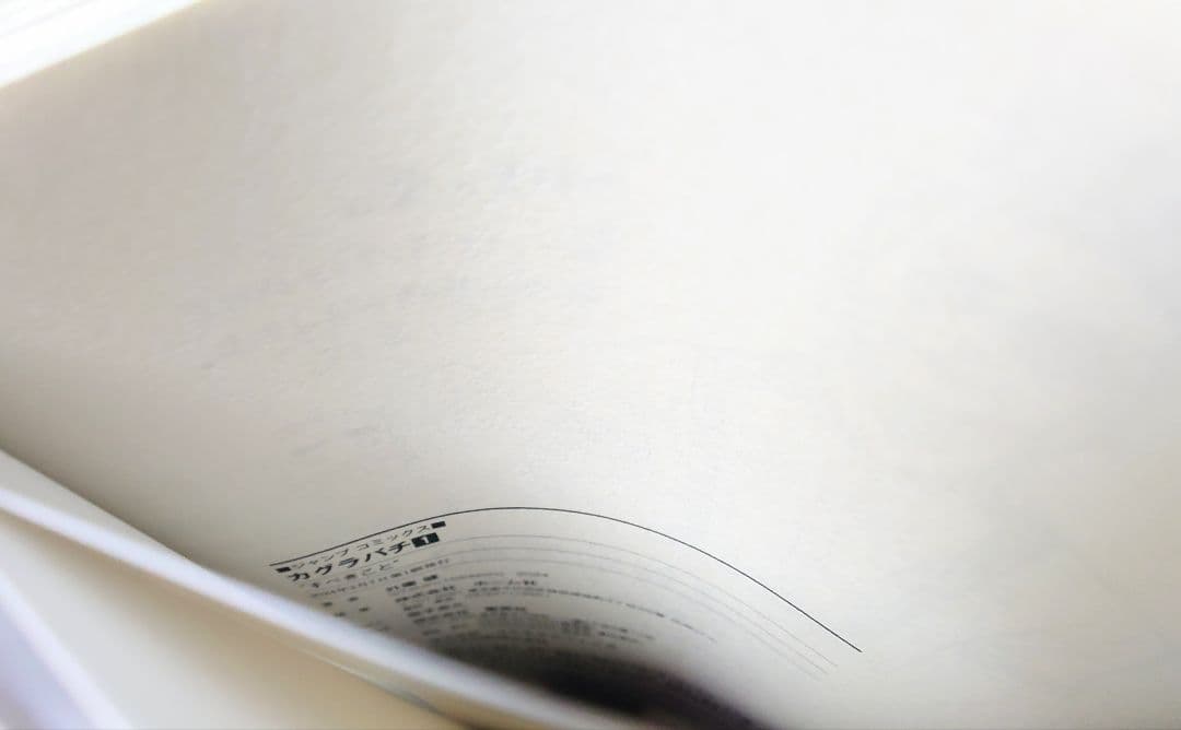 [初版・新品未開封] カグラバチ 1巻 外薗 健 集英社 シュリンク ①