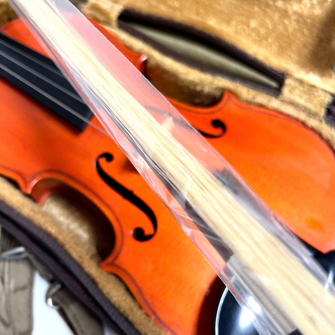 【美虎杢】Pygmalius ST-01 1/4 バイオリン　ピグマリウス