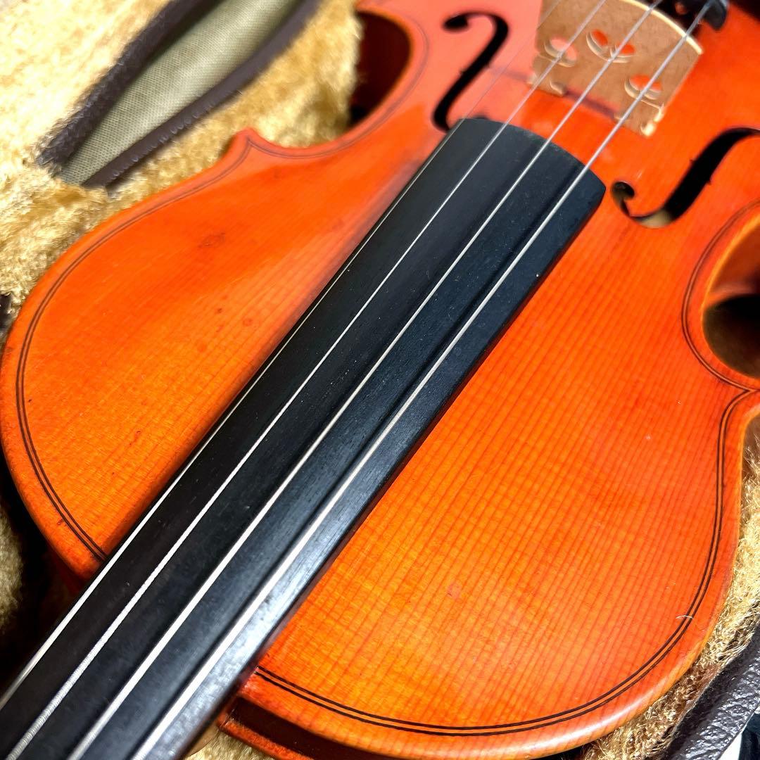 【美虎杢】Pygmalius ST-01 1/4 バイオリン　ピグマリウス