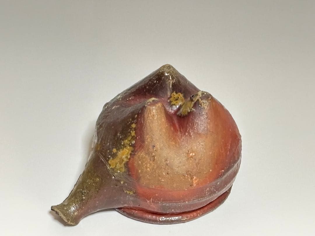 備前酒注ぎ　小出尚永　共箱　　師、原田拾六