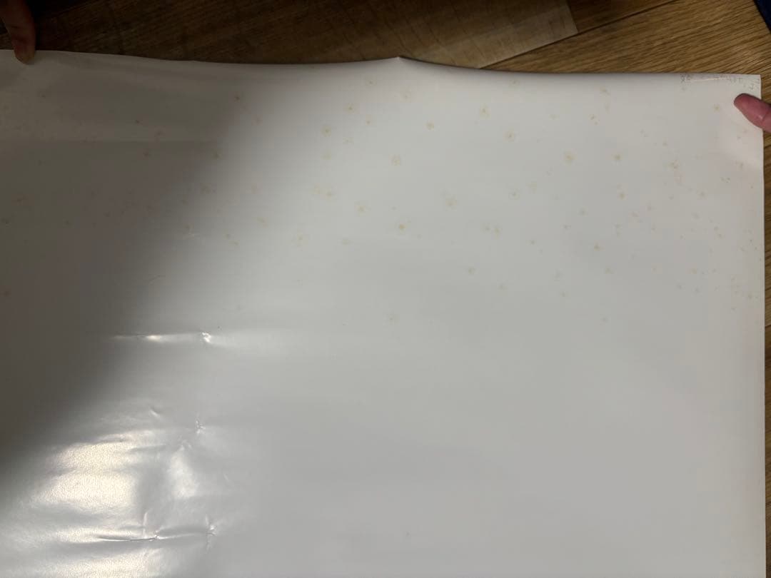 ドラゴンボール　ドラゴンボールZ dvdbox ポスター3枚セット