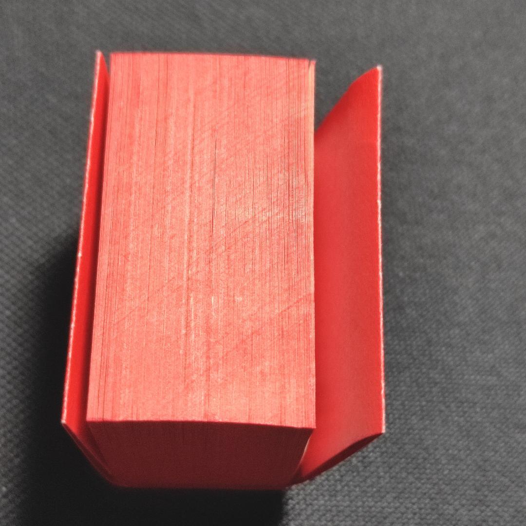 Irma Boom Biography in Books　2010年 ミニチュア