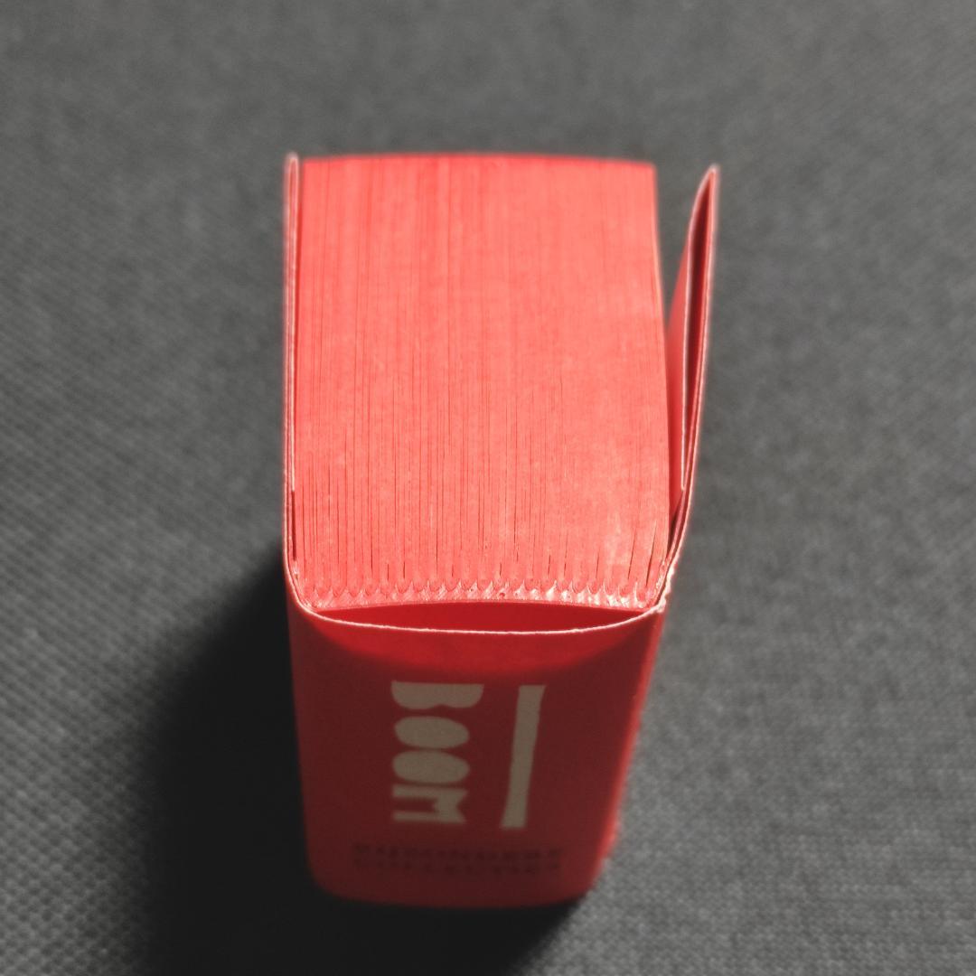 Irma Boom Biography in Books　2010年 ミニチュア