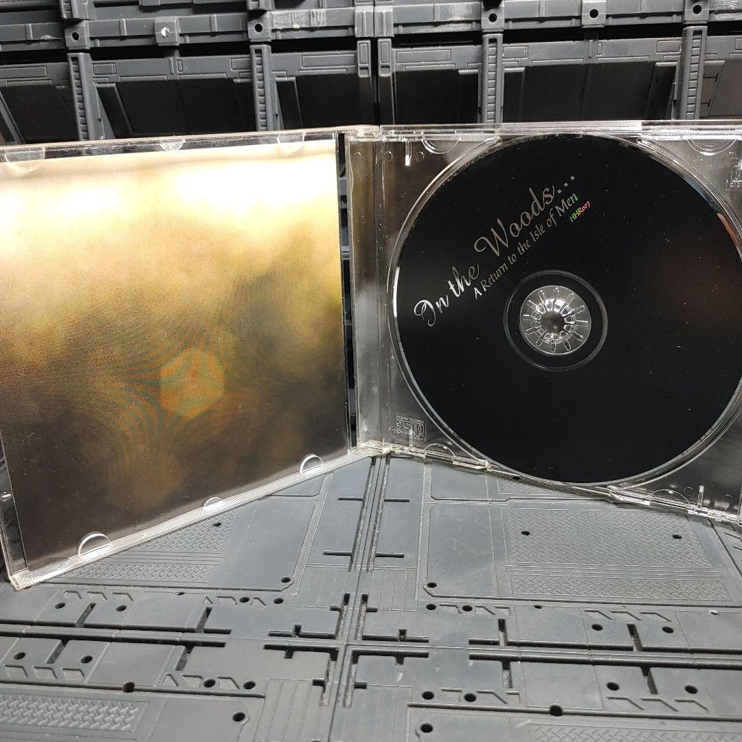 In the Woods...ブラックメタル　blackl