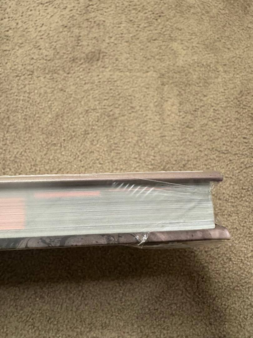 The Evil Within 2 アートブック サイコブレイク2 画集