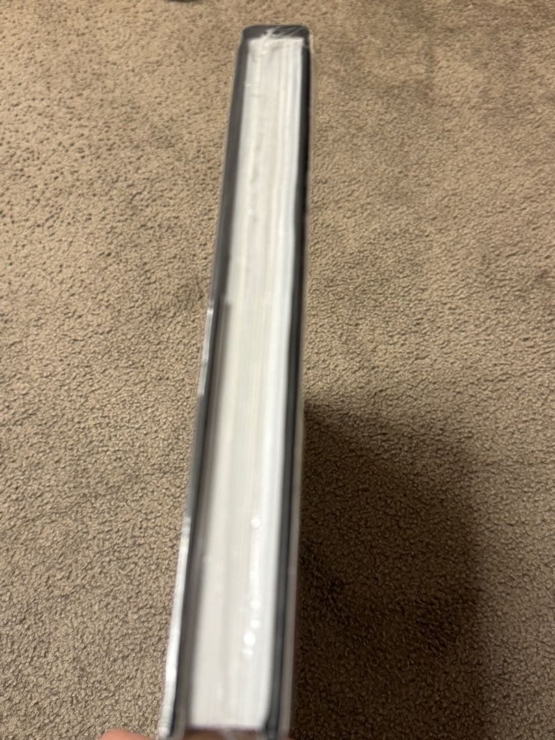 The Evil Within 2 アートブック サイコブレイク2 画集