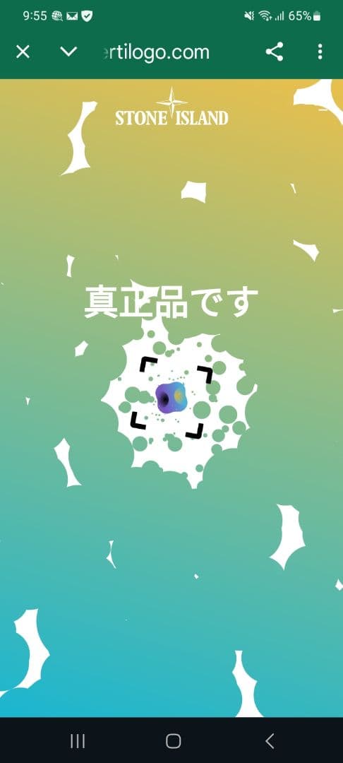 Stone  ストーンアイランドカーゴパンツ ブラック W30