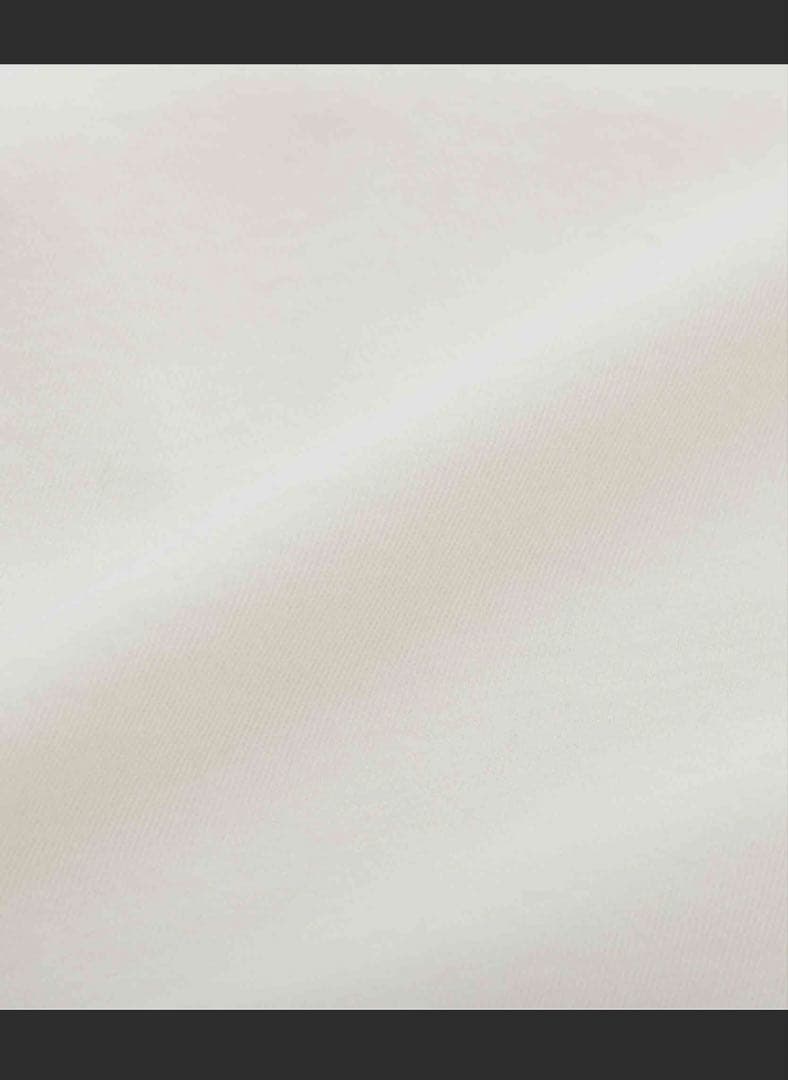 トップス SEA SEAVALLY MOUNTAIN CLUB GRAPHIC L/S