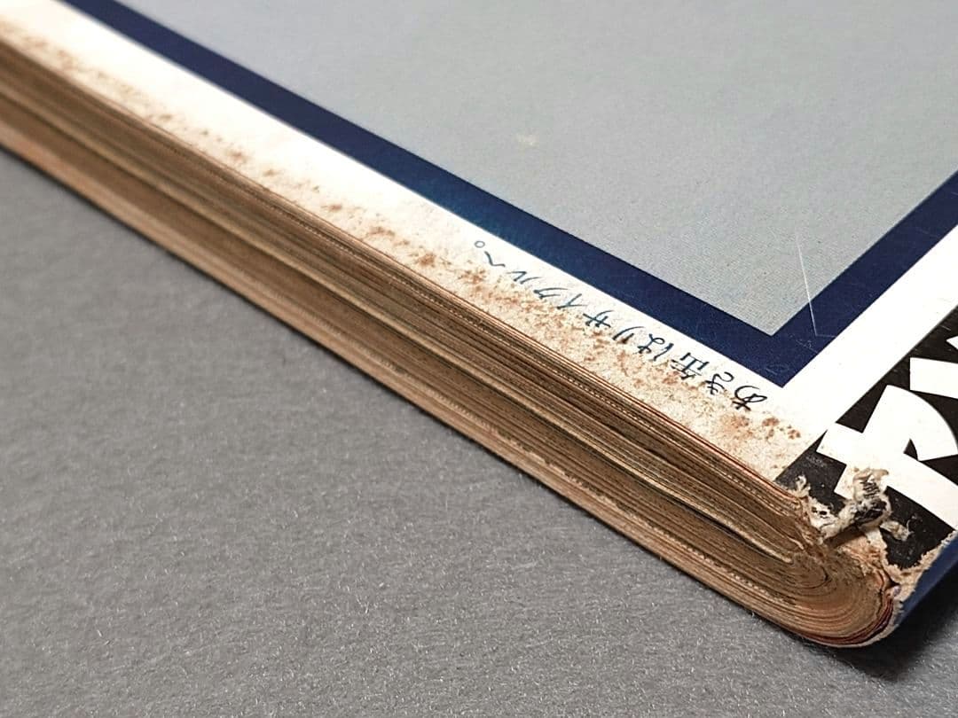 ヤングマガジン1994年15号『サバンナのハイエナ』新連載巻頭カラーハロルド作石