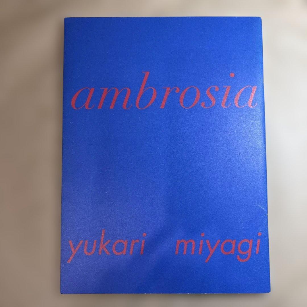 ambrosia yukari miyagi アート作品集