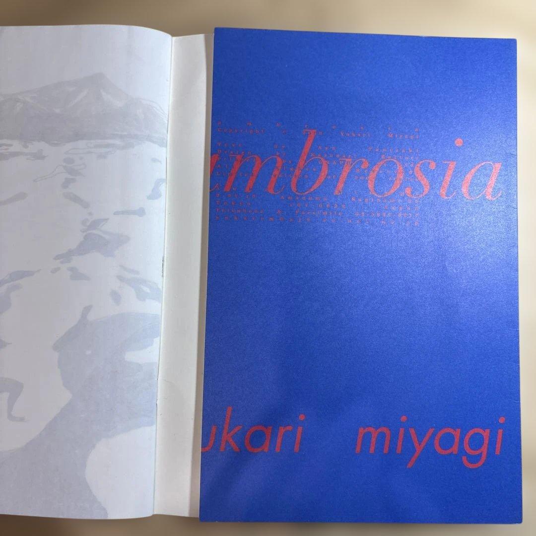 ambrosia yukari miyagi アート作品集