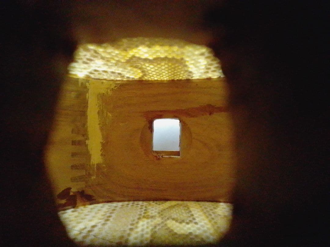 沖縄三線 本皮 強化張り 蛇皮 バッグ付 琉球 和楽器 本体