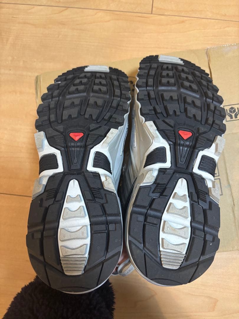 靴 SALOMON ACS PRO l/Ghost/Silver 