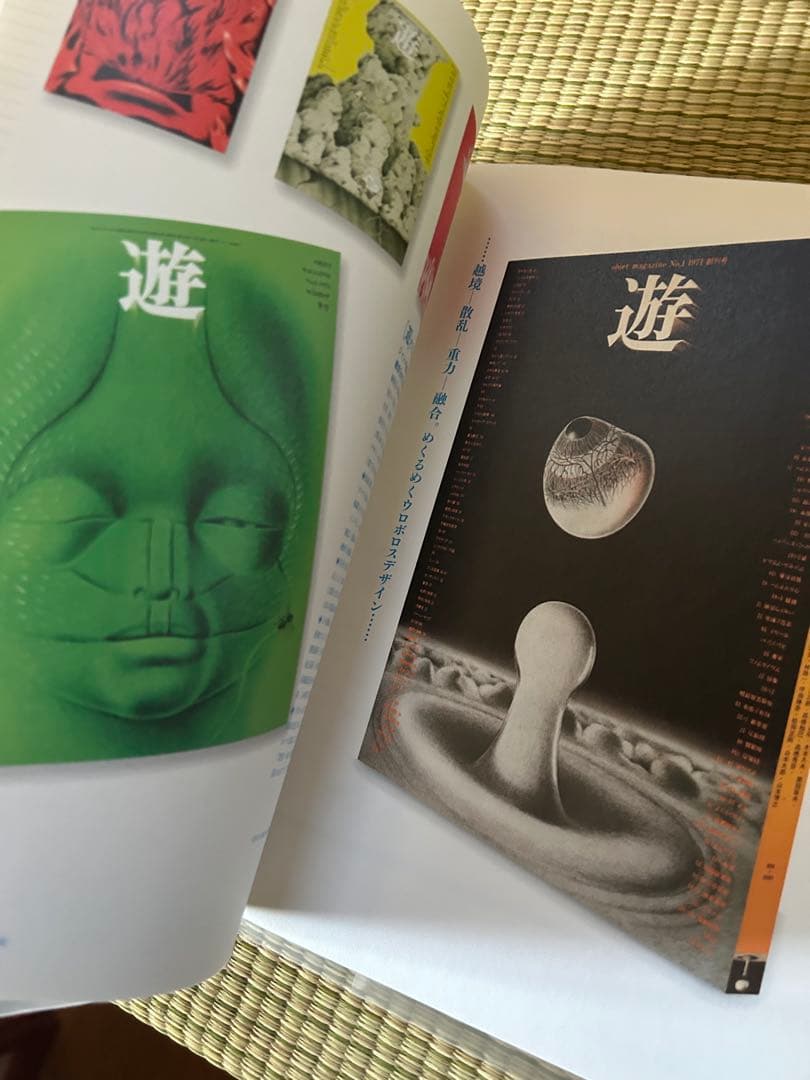 疾風迅雷 杉浦康平デザインの半世紀　杉浦康平