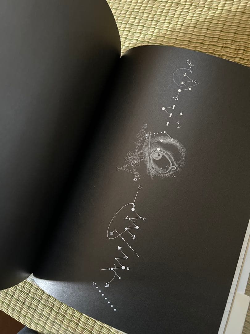 疾風迅雷 杉浦康平デザインの半世紀　杉浦康平