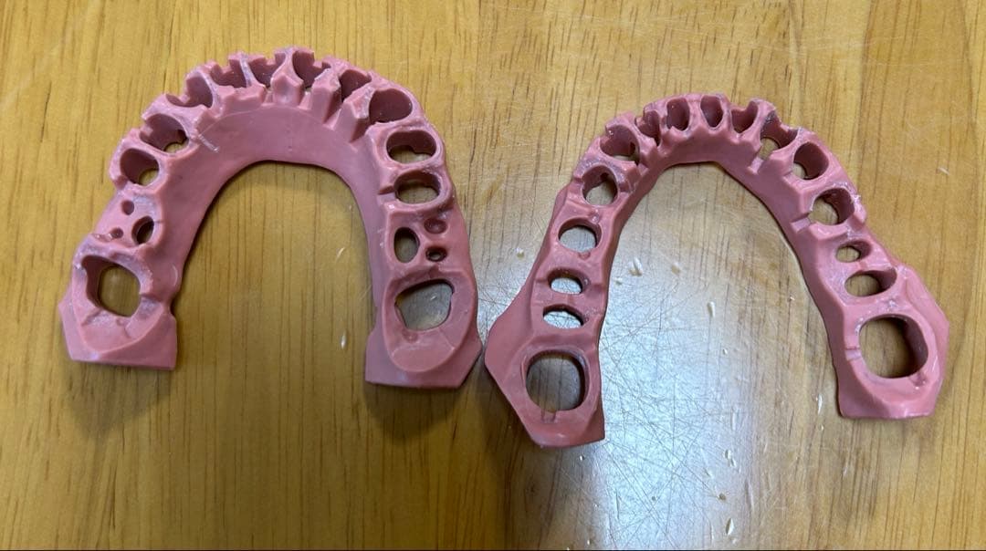 歯科 顎模型 NISSIN マネキン まとめ売り