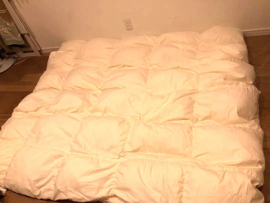 大塚家具 ダウナ ポーランド マザーグース 95% クイーンサイズ 1480g