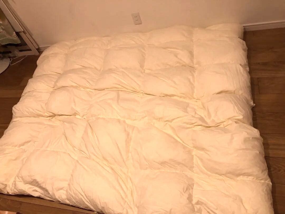 大塚家具 ダウナ ポーランド マザーグース 95% クイーンサイズ 1480g