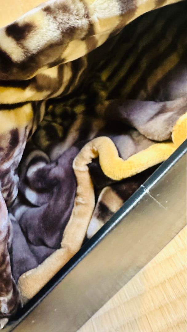 FENDI ニューマイヤーハーフ毛布 100x140cm