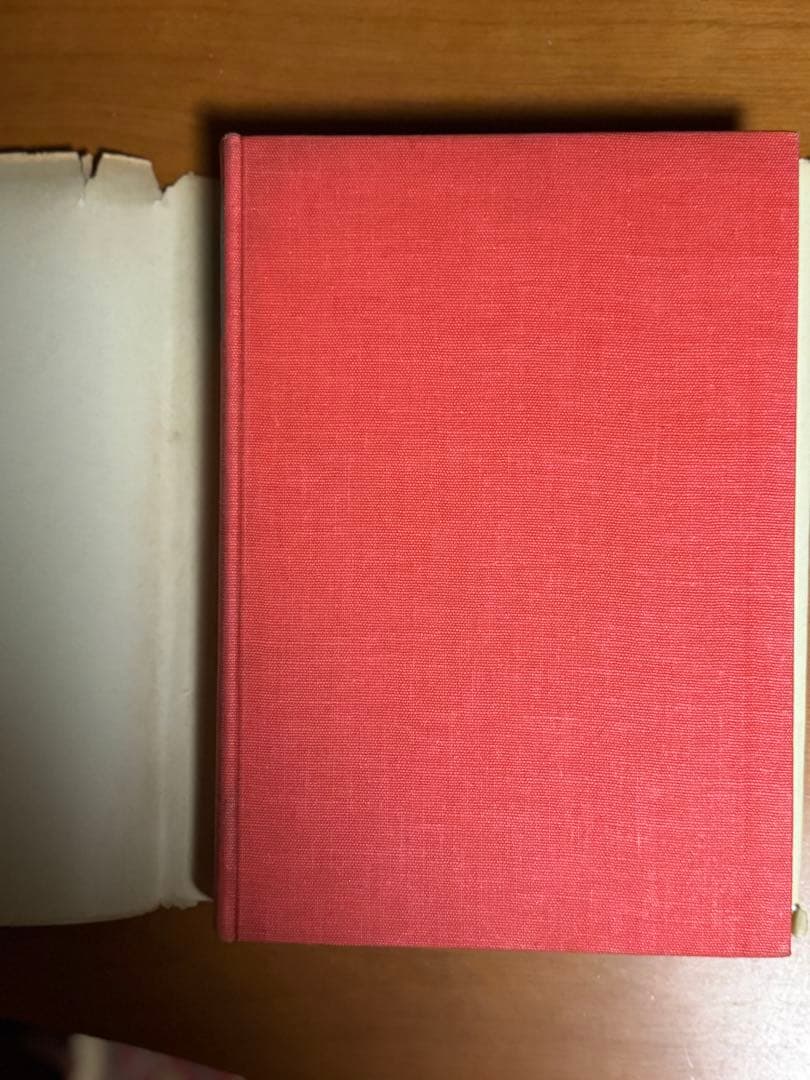 芸術学部の方に！美術　洋書From Van Eyck to Bruegel