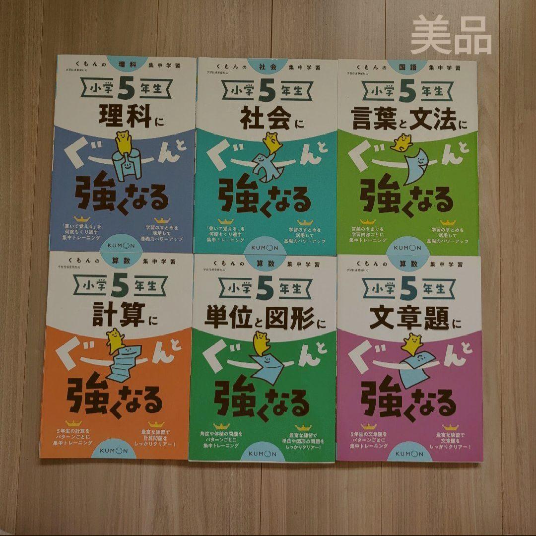くもん　ぐーんと強くなる　小6　小5セット