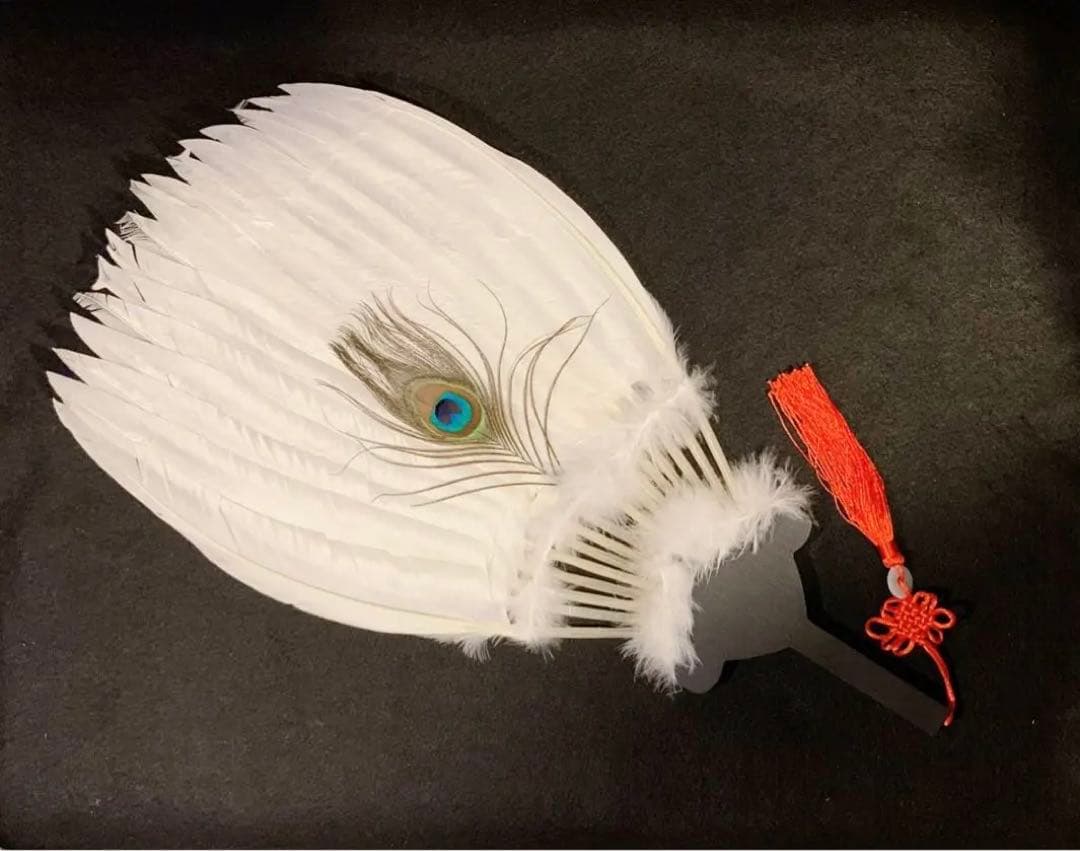 ✧︎中国お土産シリーズ✧︎ネコさん注意✧︎三国志、歴史好きな方に 諸葛亮 孔明扇③