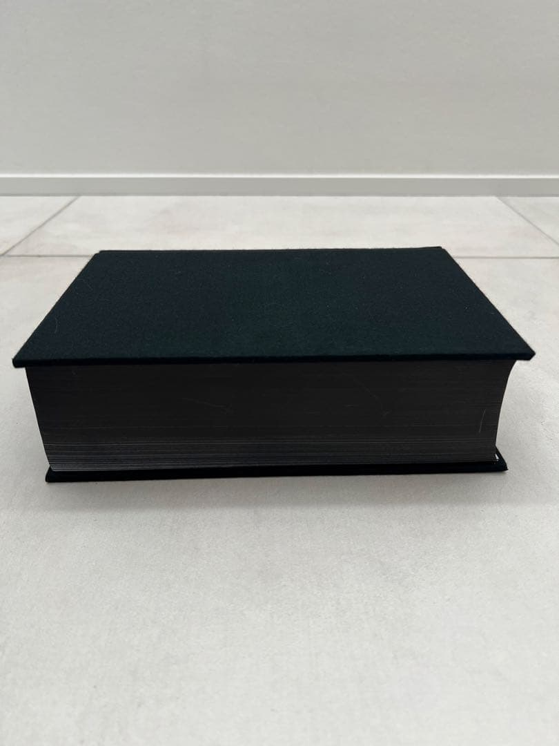 ANN DEMEULEMEESTER 作品集