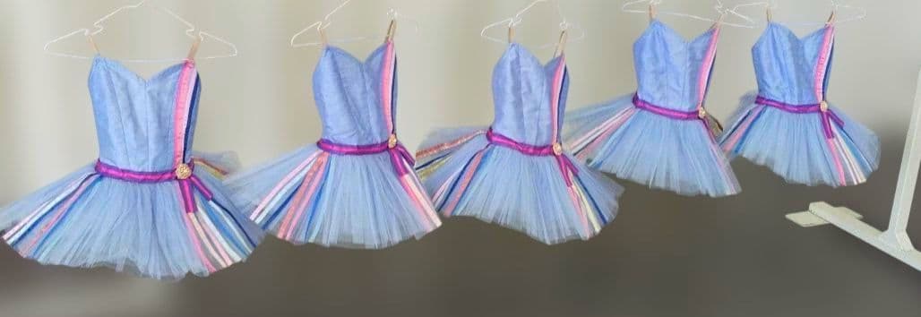 バレエ　小学校1.2年生チュチュボンの長さ　23 cm　5着まとめ