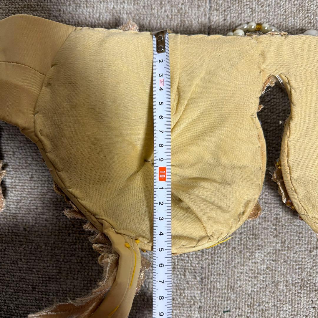 ベリーダンス用ゴールドセットアップ UAE Arabia style