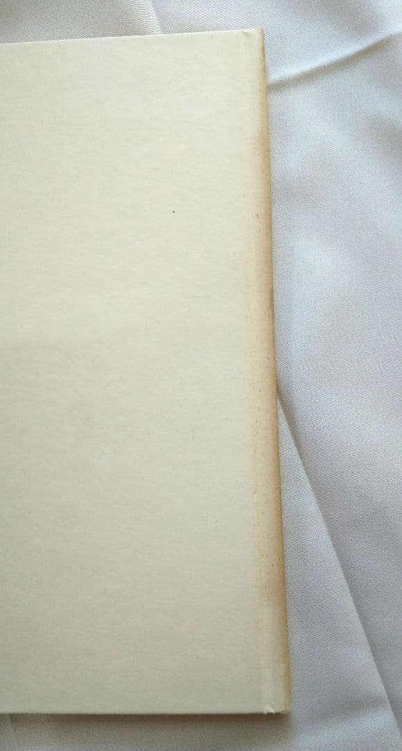 アンディー・ウォーホル 25 Cats / Holy Cats 2冊セット