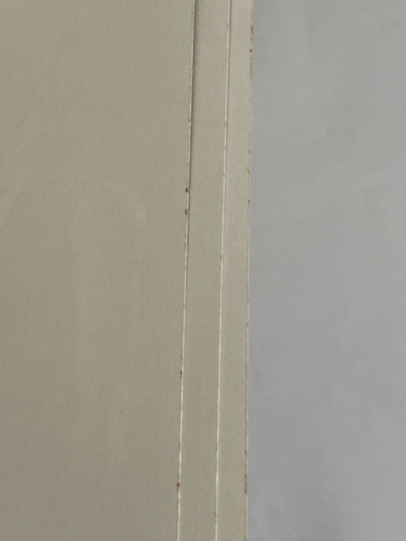 ミュージック ASTRO THE 1ST ASTROAD TO JAPAN 2017 DVD