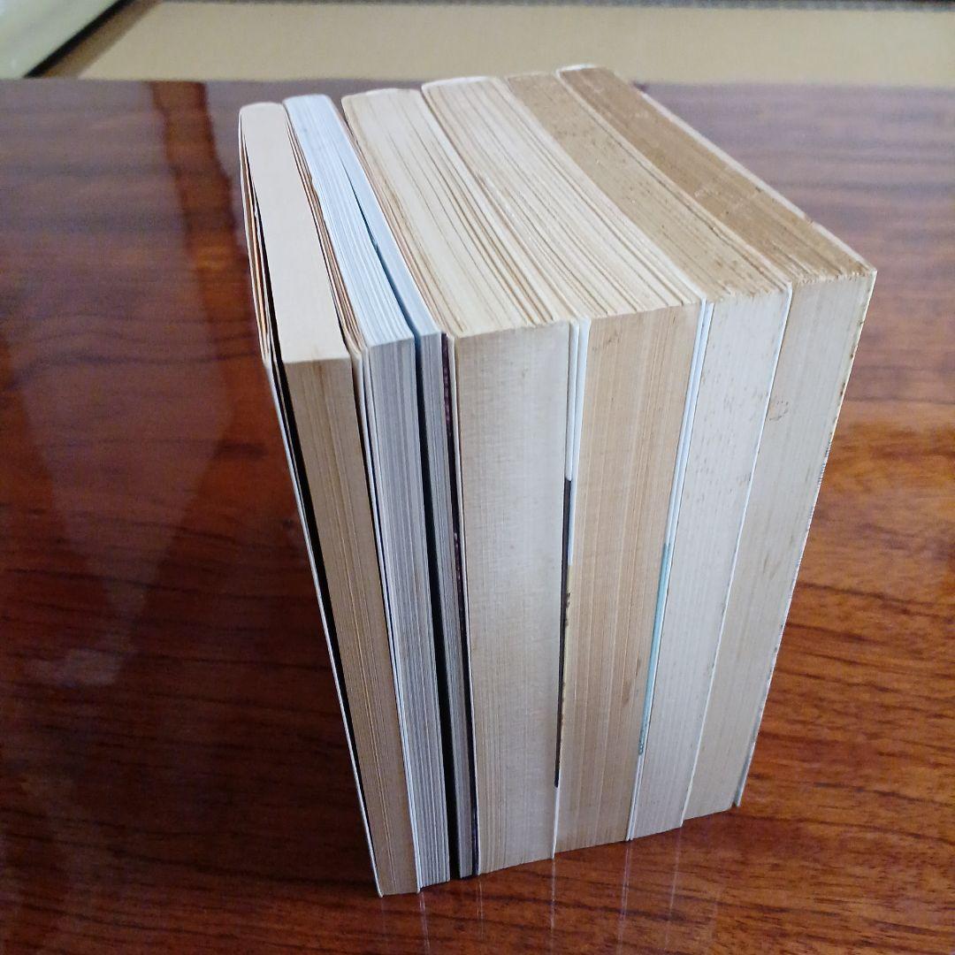 辻邦生中公文庫6冊セットです。