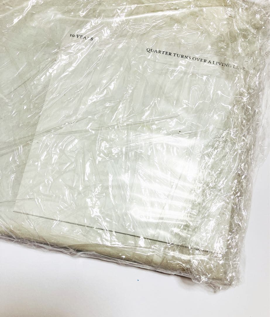 〈限定150〉Raime: 10 years Quarter 〜