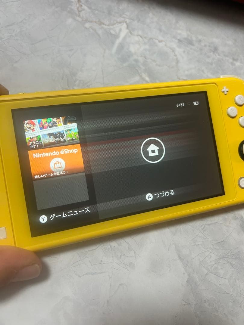 Switchライト本体（ジャンク品）